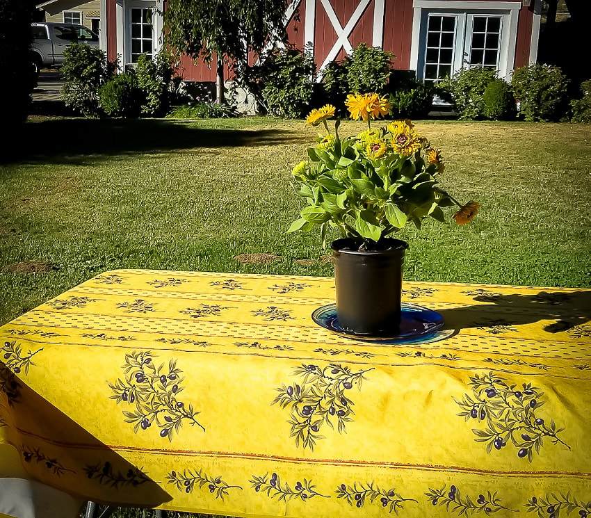 Easiest to clean polyester fabric tablecloth measures 94 inches in length and features olive clusters printed between bands and borders of red repeating paisley diamonds on a yellow background. Width 60 inches.